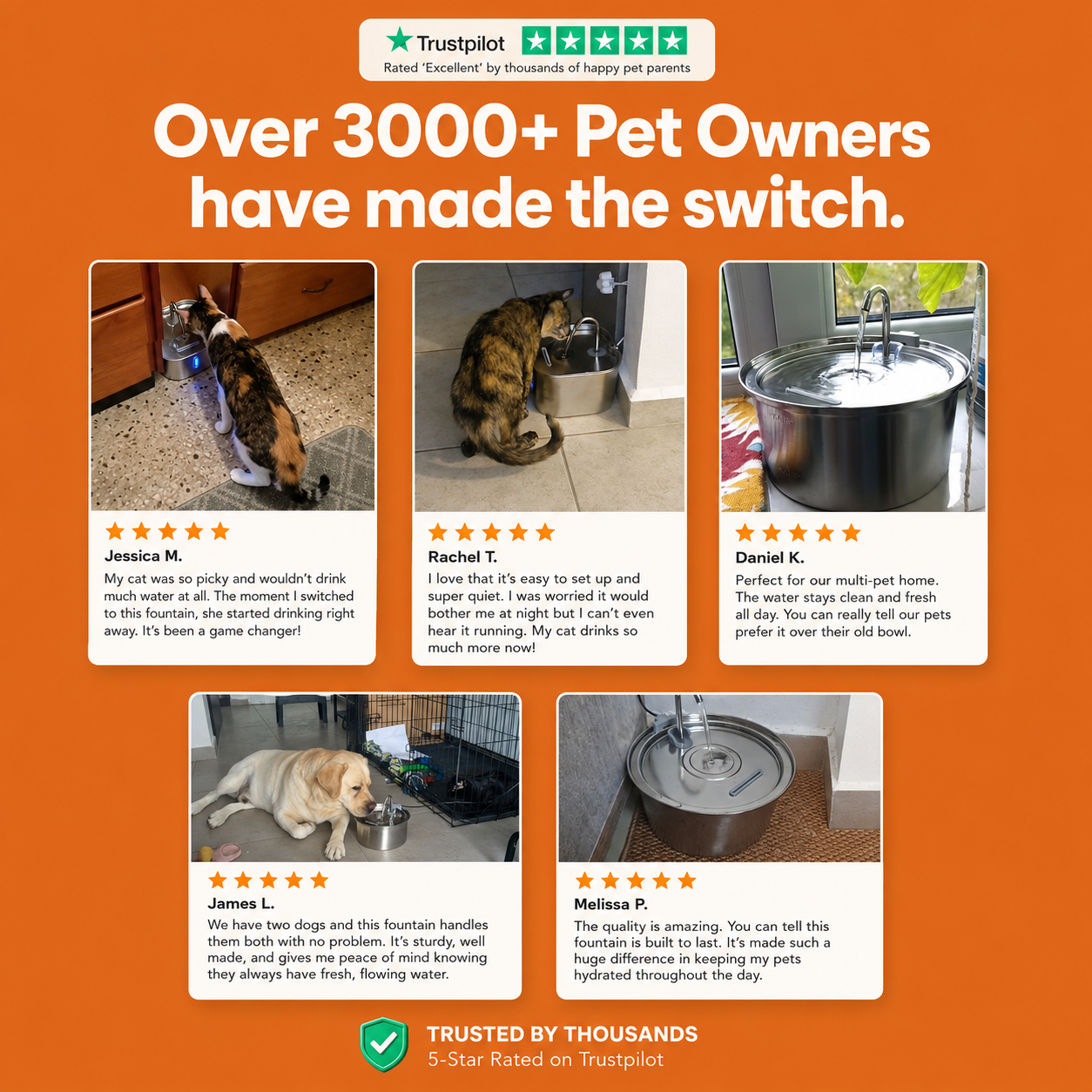 Adequate Hydration & Clean water for pets in ONE WEEK