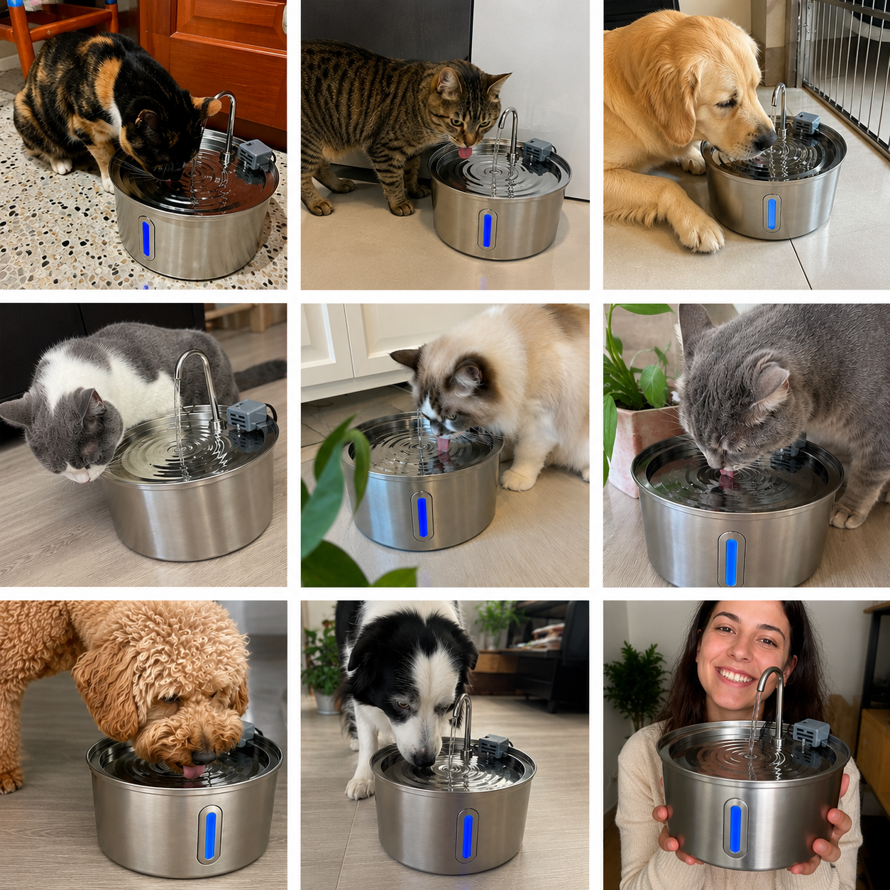 Adequate Hydration & Clean water for pets in ONE WEEK